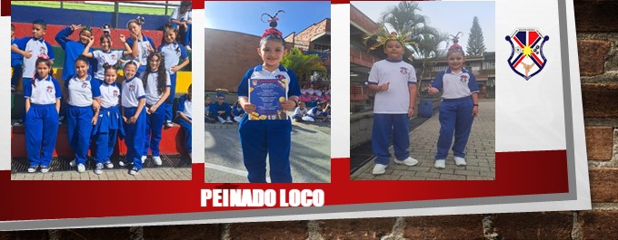 PEINADO LOCO